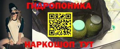 круглые Кингисепп
