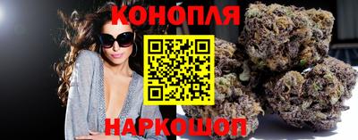 круглые Кингисепп