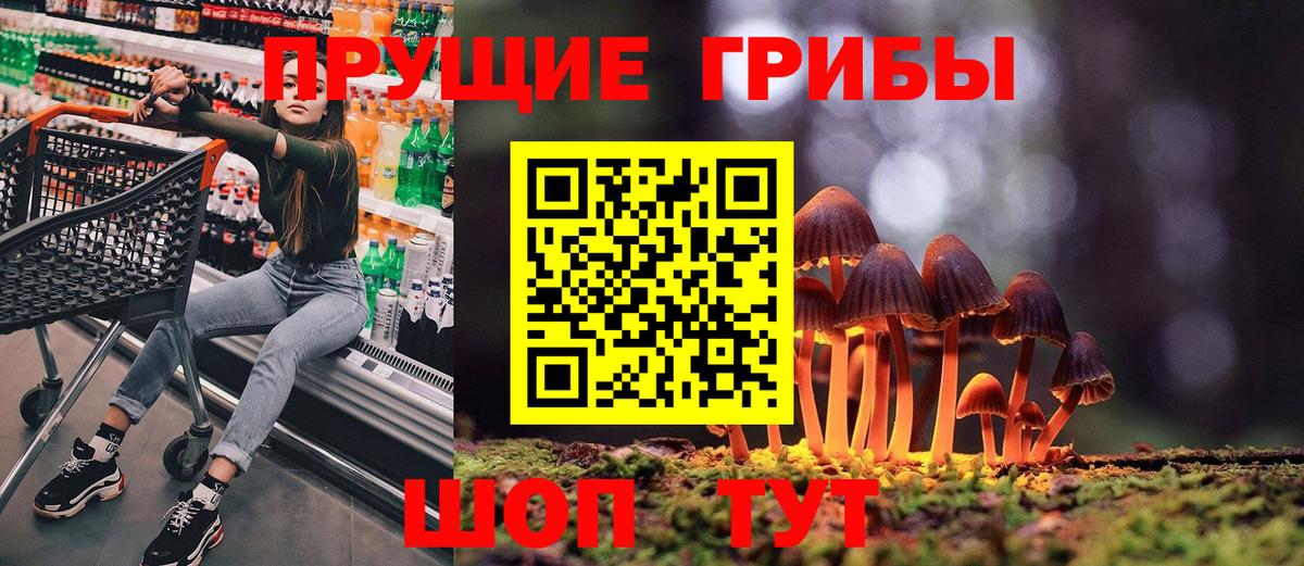 Галлюциногенные грибы мицелий Краснознаменск