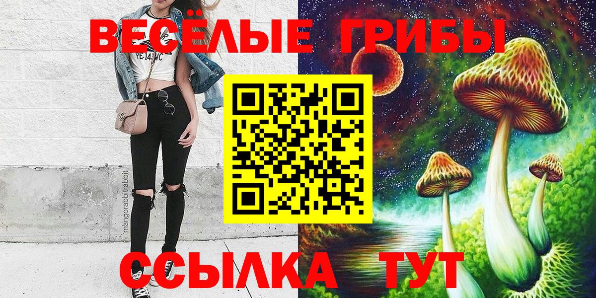 Краснознаменск  Псилоцибиновые грибы ЛСД  Вход с VPN 