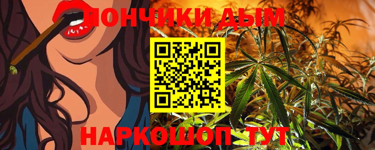 МАРИХУАНА сатива Краснознаменск